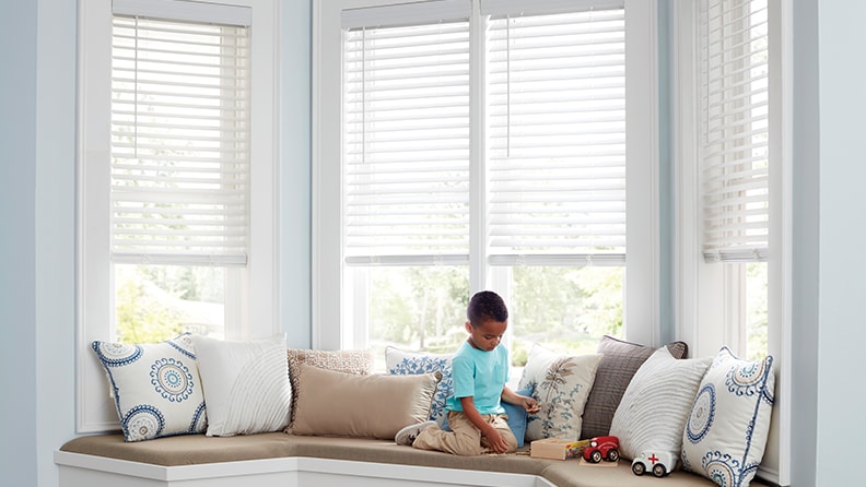 Blinds and Window Shades Buying Gui