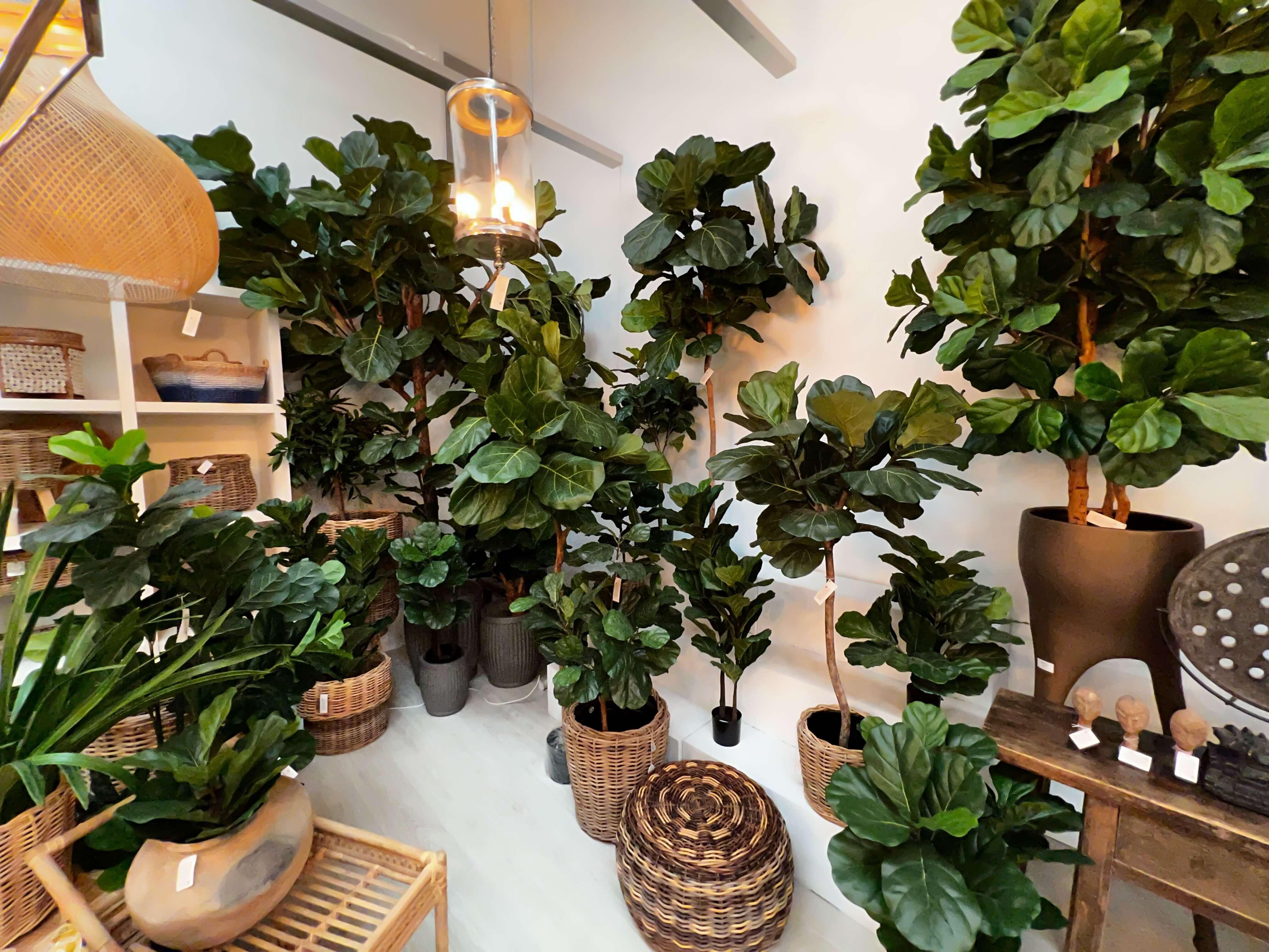 Incorporate‍ indoor ⁣plants​ for a lively, refreshing⁢ Bedroom Trend