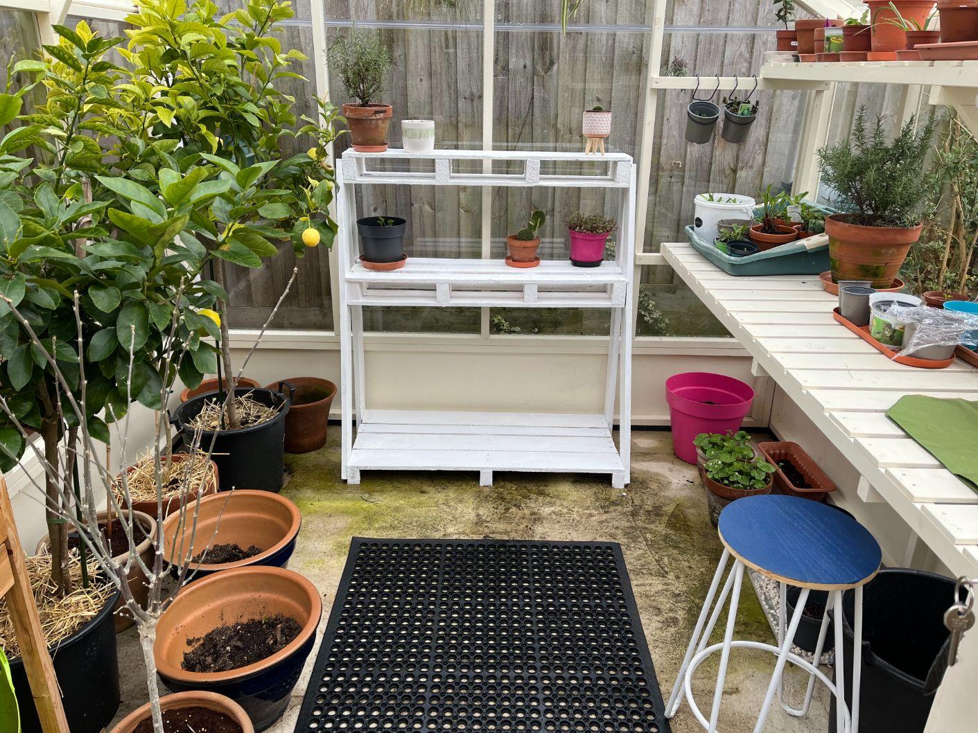 Transform ⁢a pallet garden into a mini greenhouse for nurturing delicate seedlings