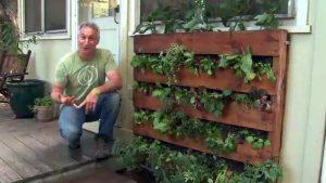 Explore an edible pallet garden, growing vegetables for a ⁣sustainable home lifestyle