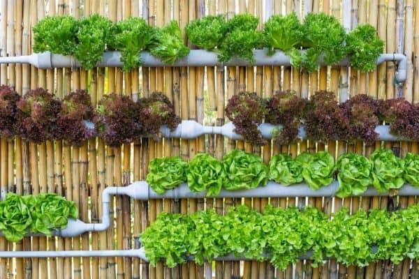 A simple‌ Pallet Garden can create an inviting entryway filled with aromatic ⁢herbs