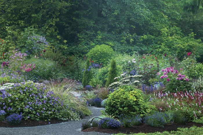 Establish a layered garden design for depth and variety in front yard landscaping