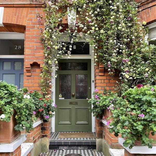 Frame your front door‌ with climbing vines to enhance your front yard landscaping