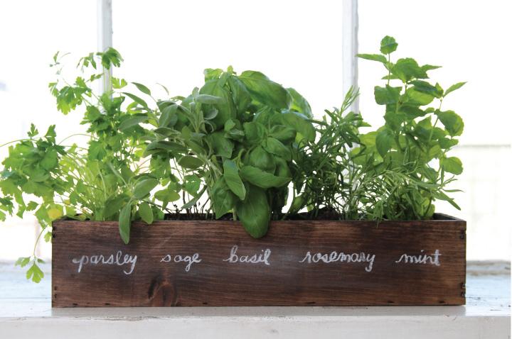 Culinary herbs growing by the window bring life ‍to your farmhouse kitchen