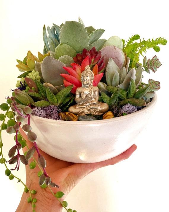 Unique plant arrangements⁣ inspire​ creativity, ⁤enhancing ⁤harmony in your Zen ⁤Garden