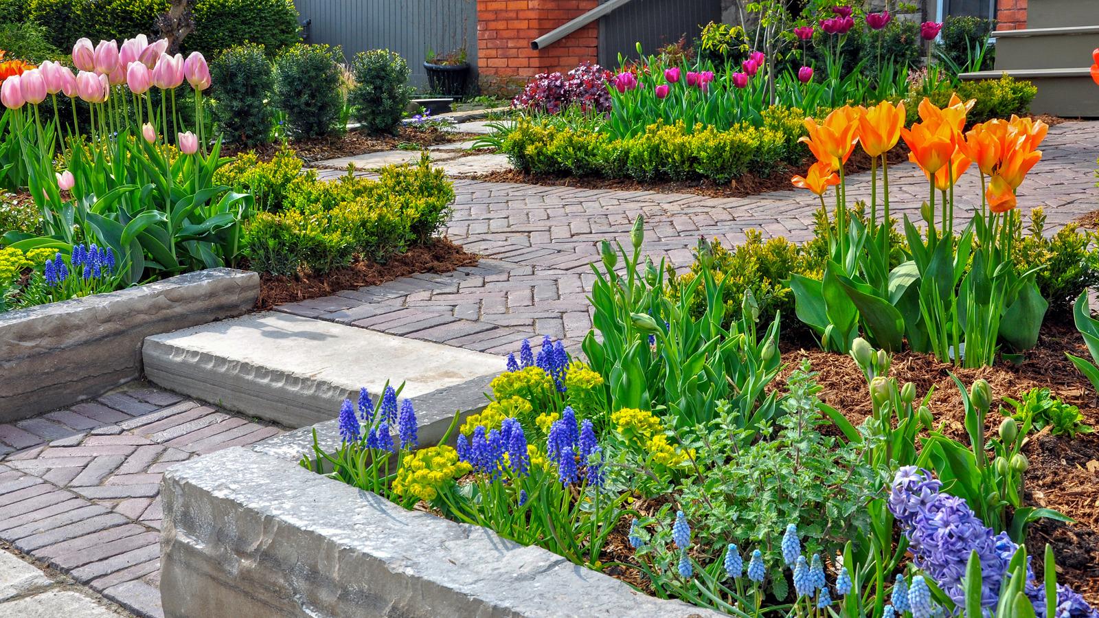 Plant a mix of perennials and annuals for year-round‍ color in front yard landscaping