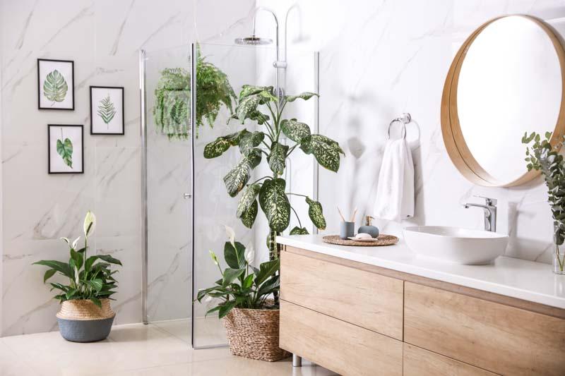 Indoor⁣ plants ‍breathe life into your ‍bathrooms aesthetic