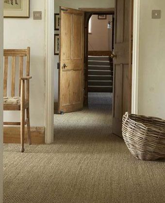 Why should you hire a carpet company to
clean your carpets?