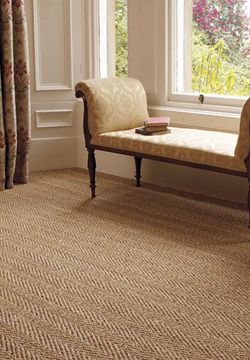 Why should you hire a carpet company to
  clean your carpets?