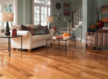Here is what you need to know about birch
flooring