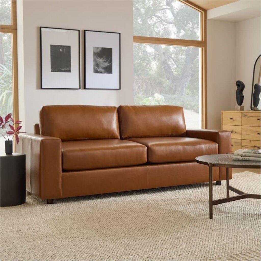 1702430769_leather-sleeper-sofa.jpg