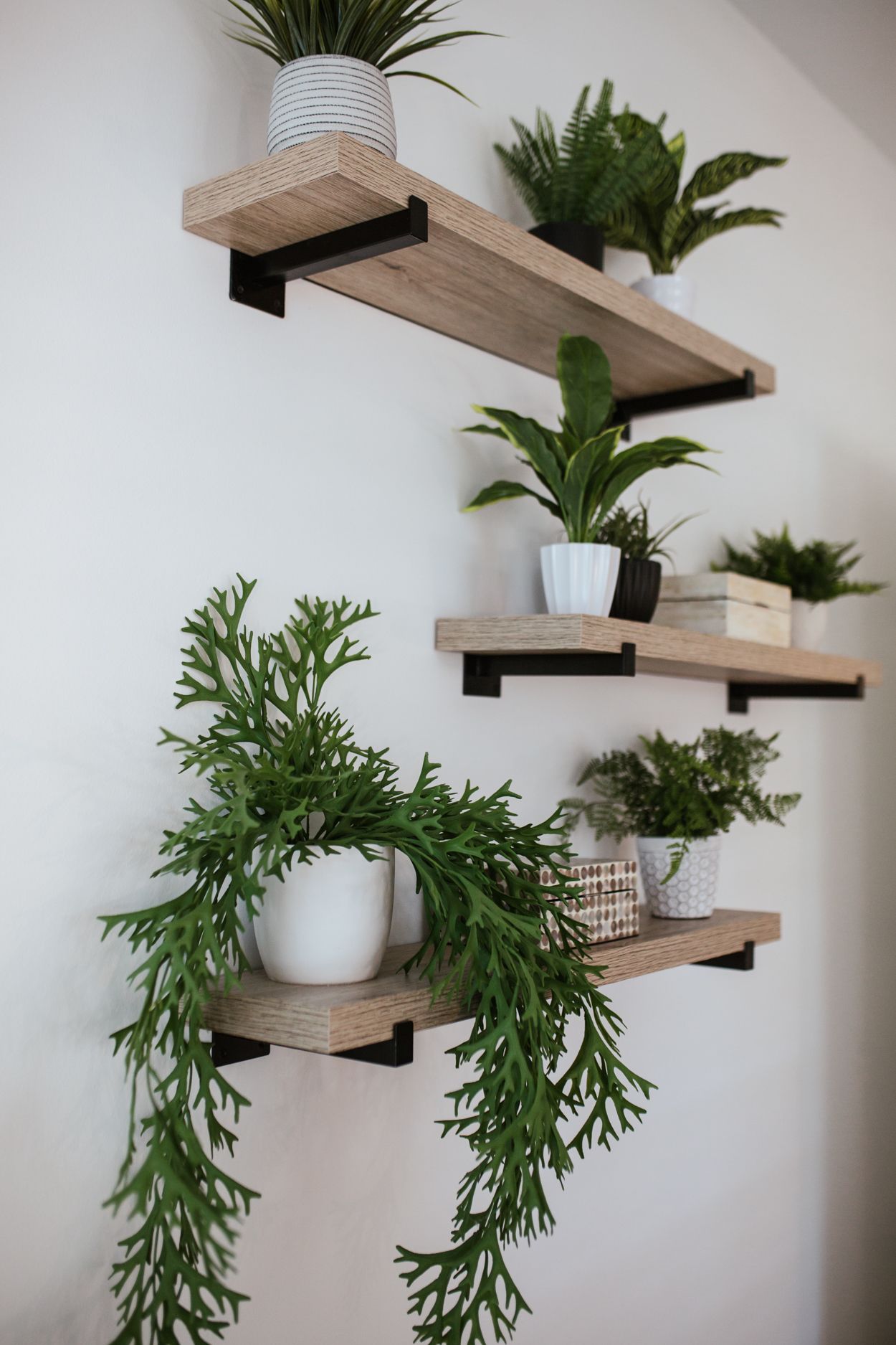 Enhance your house with some amazing and
  decorative wall shelves