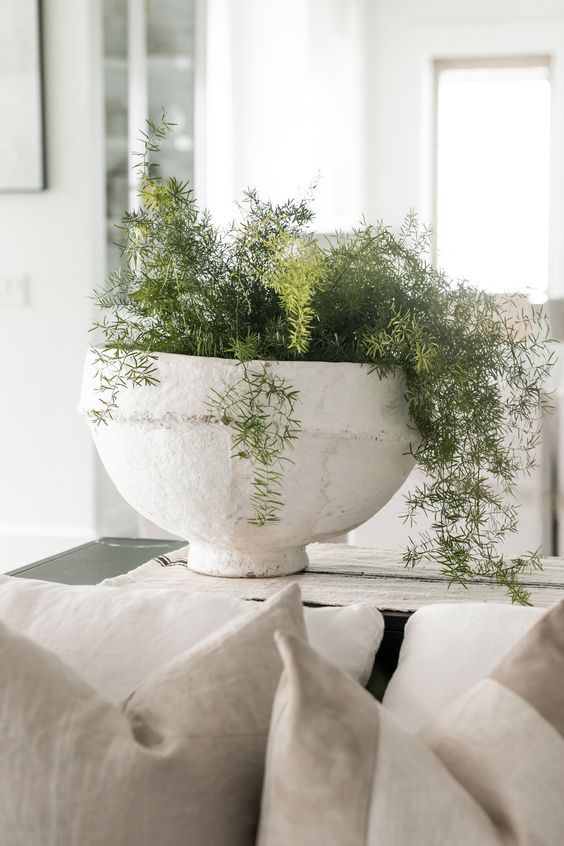Enhance Your Home Decor with Beautiful
Decorative Bowls
