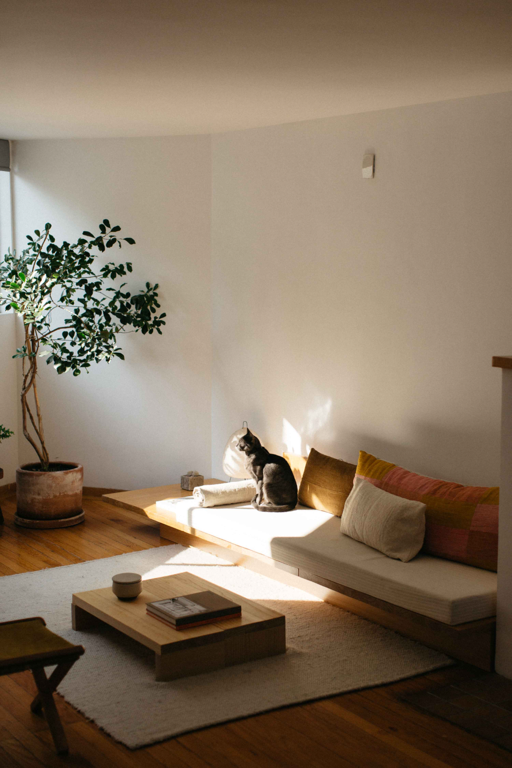 Choosing elegant apartment interior
  design