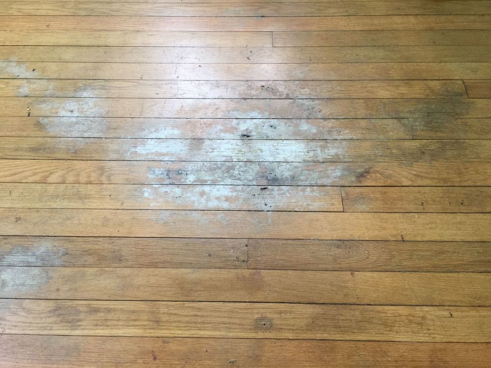 5 things you should know about wood floor
  refinishing