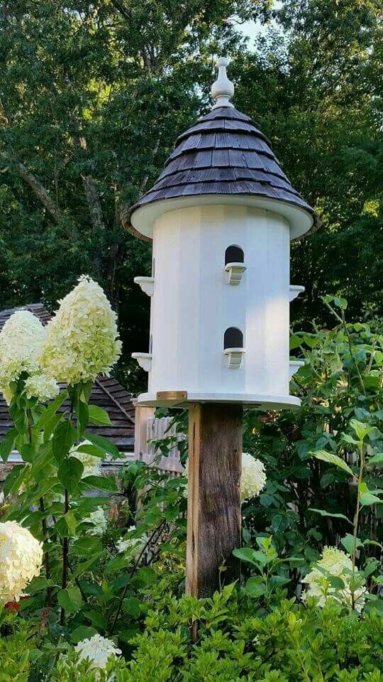 Bird House Ideas
