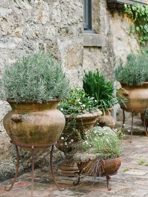 Repurposed Planter Ideas for Eco-Friendly
Gardeners