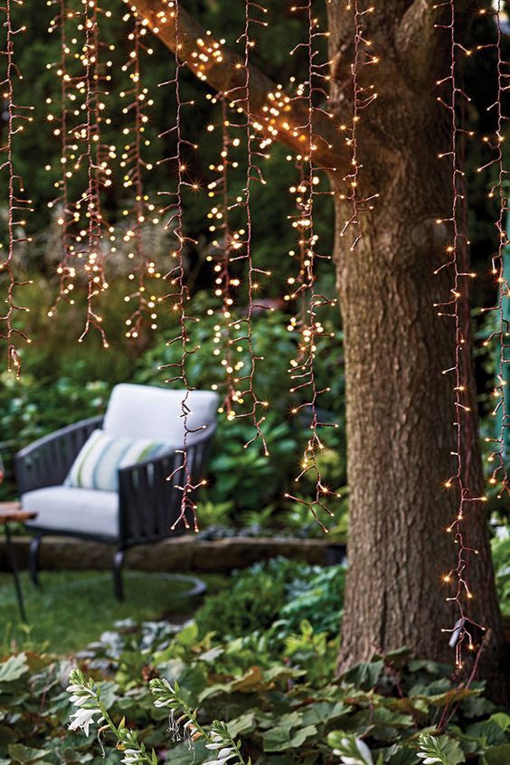 The Ultimate Guide to Stylish Outdoor
Tree Decorations