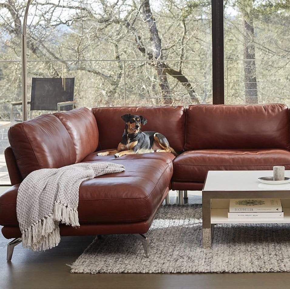 The Timeless Elegance of a Red Sectional
Sofa: A Must-Have for Your Living Room