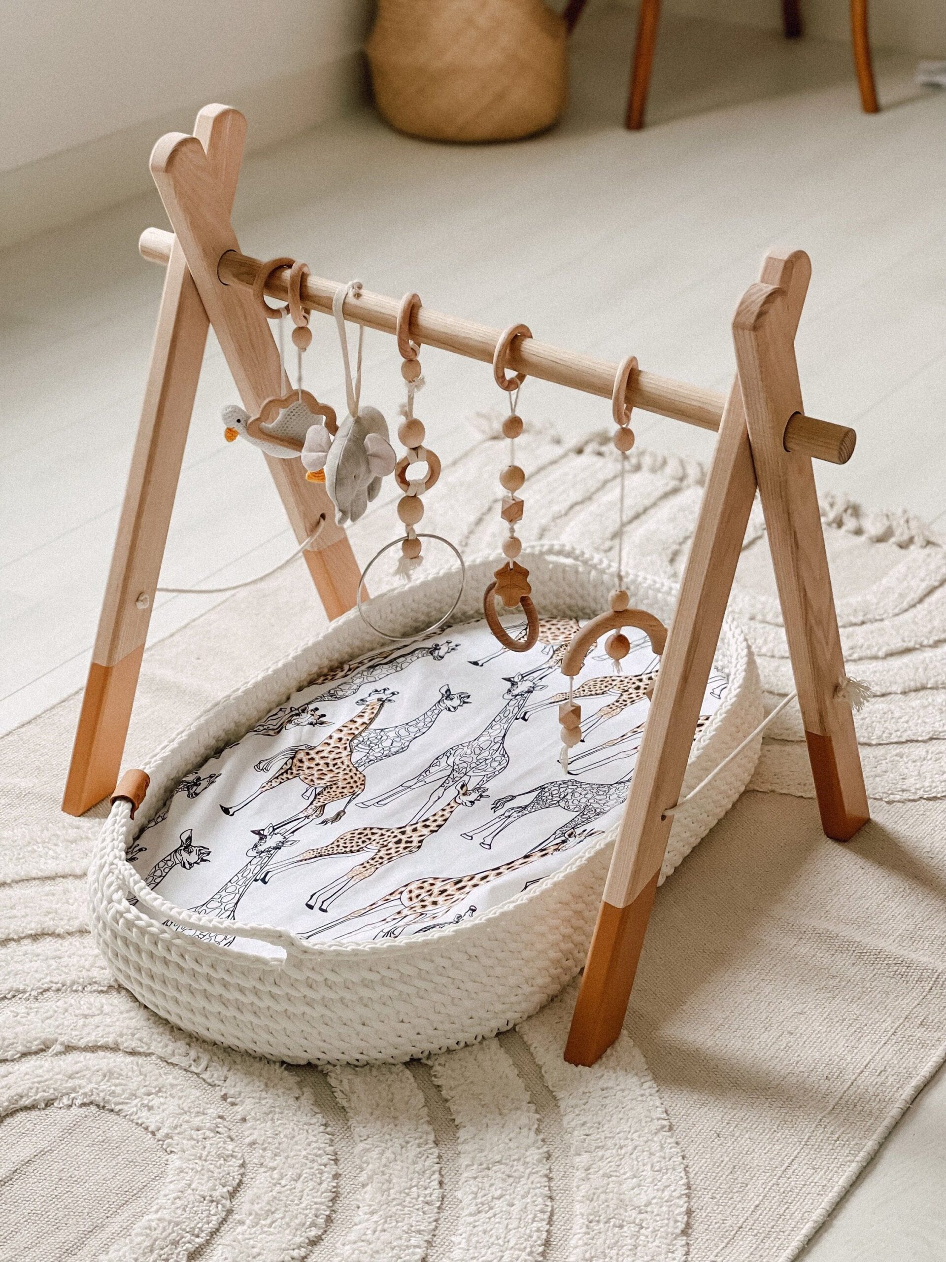 The reason why baby bassinet- mattress
  has become eminent these days?