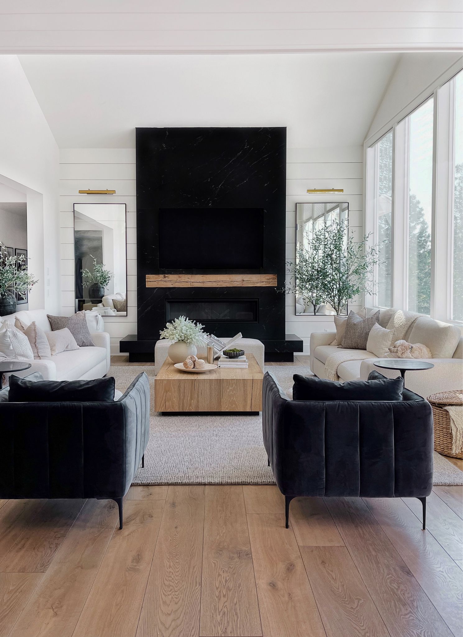 Choosing sophiscated and elegant colour
like black and white living room