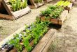 24 Creative Pallet Garden Designs to Transform Your Space