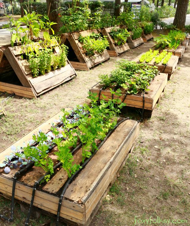 24 Creative Pallet Garden Designs to Transform Your Space