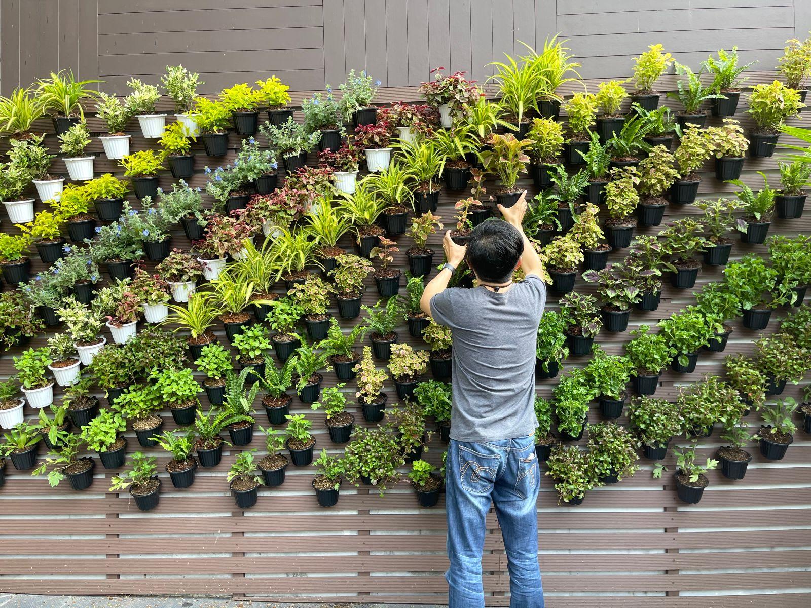 Use vertical gardens to maximize space in your front yard landscaping