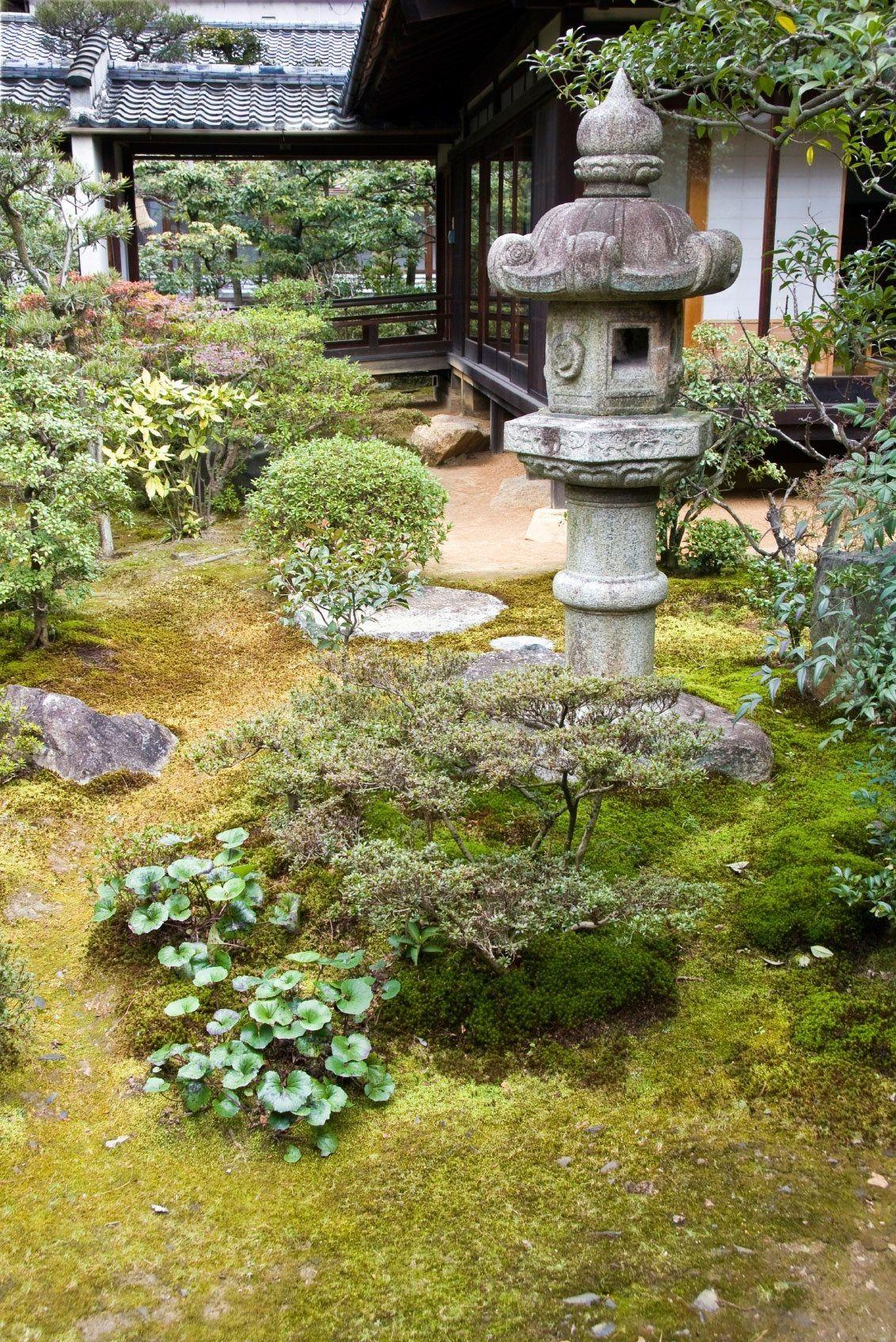 Each plant in a Zen Garden is chosen for its beauty and peaceful energy