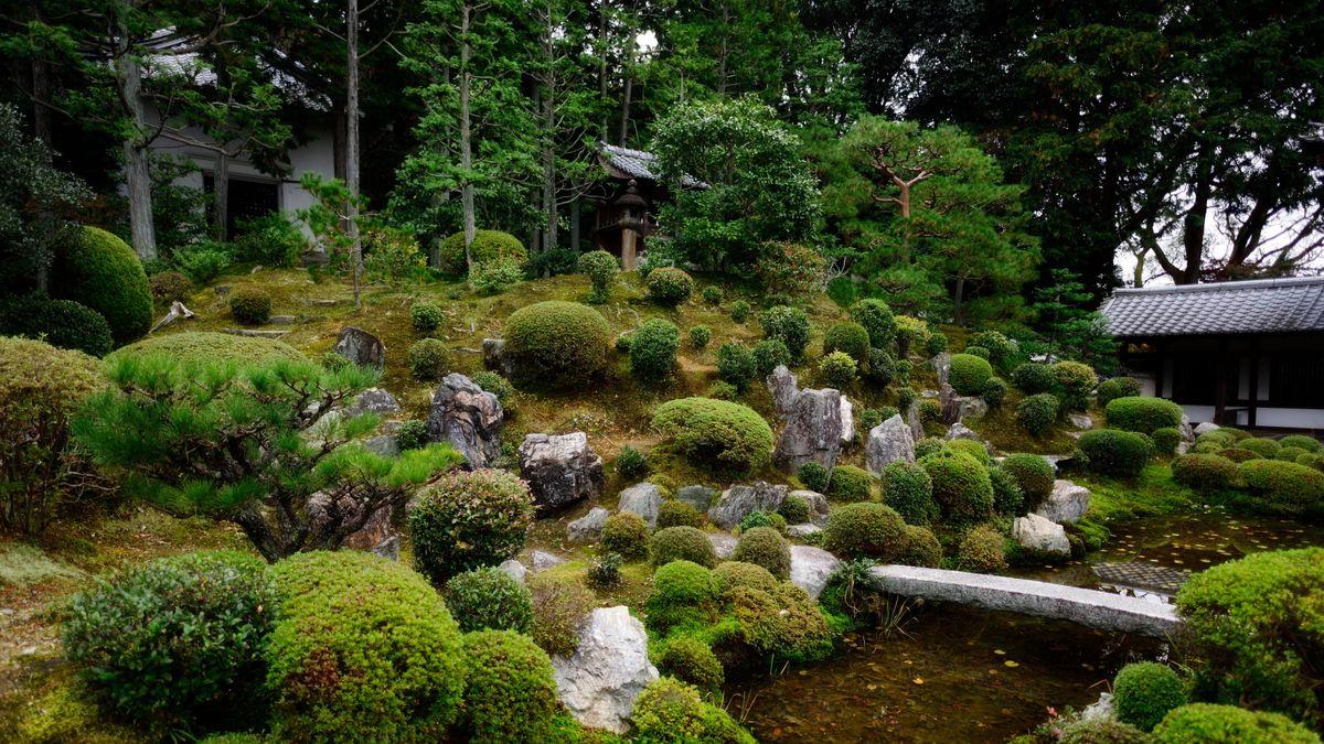 Textural contrasts between ⁣stone and soft plantings enhance your Zen Garden’s‌ depth