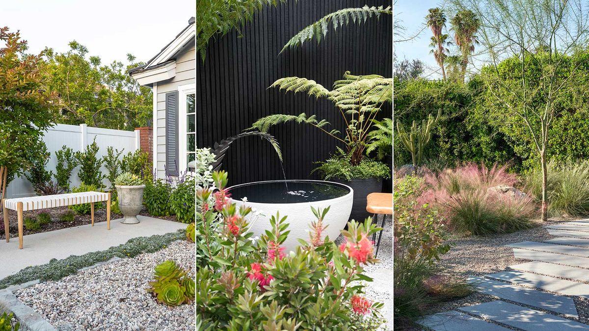 Embrace native plants for low-maintenance, eco-friendly front yard landscaping