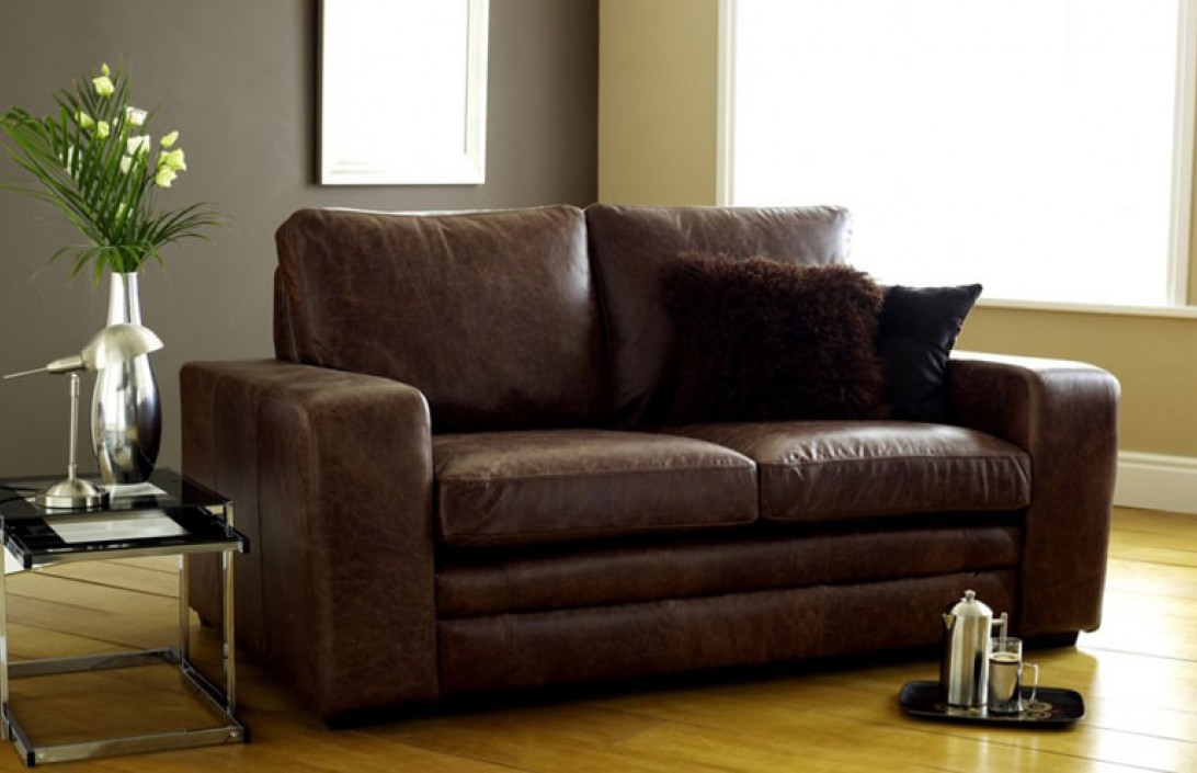 Buy leather sofa bed to save space and
money
