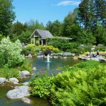 botanical gardens lush-lerner-garden-dsc_6435 FILHTOX