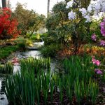 botanical gardens tickets and tours 2017 - norfolk botanical garden IMELSJF
