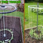 gardening ideas gardening-ideas-12 QYHOFMB