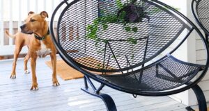 iron furniture how to save wrought iron patio furniture with this simple trick! | via WSZBTDC