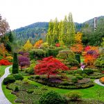 lux travel: breathtaking botanical gardens CPVESFW