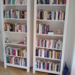 new book cases with books IYVAENH