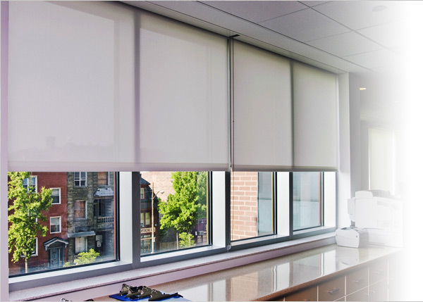 patrician window coverings QNKSTFE