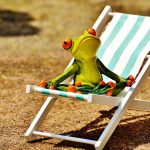 sun loungers, beach, frog, summer, sun HUTKOVX