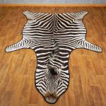 african zebra rug mount for sale #15265 @ the taxidermy store MISXWVF
