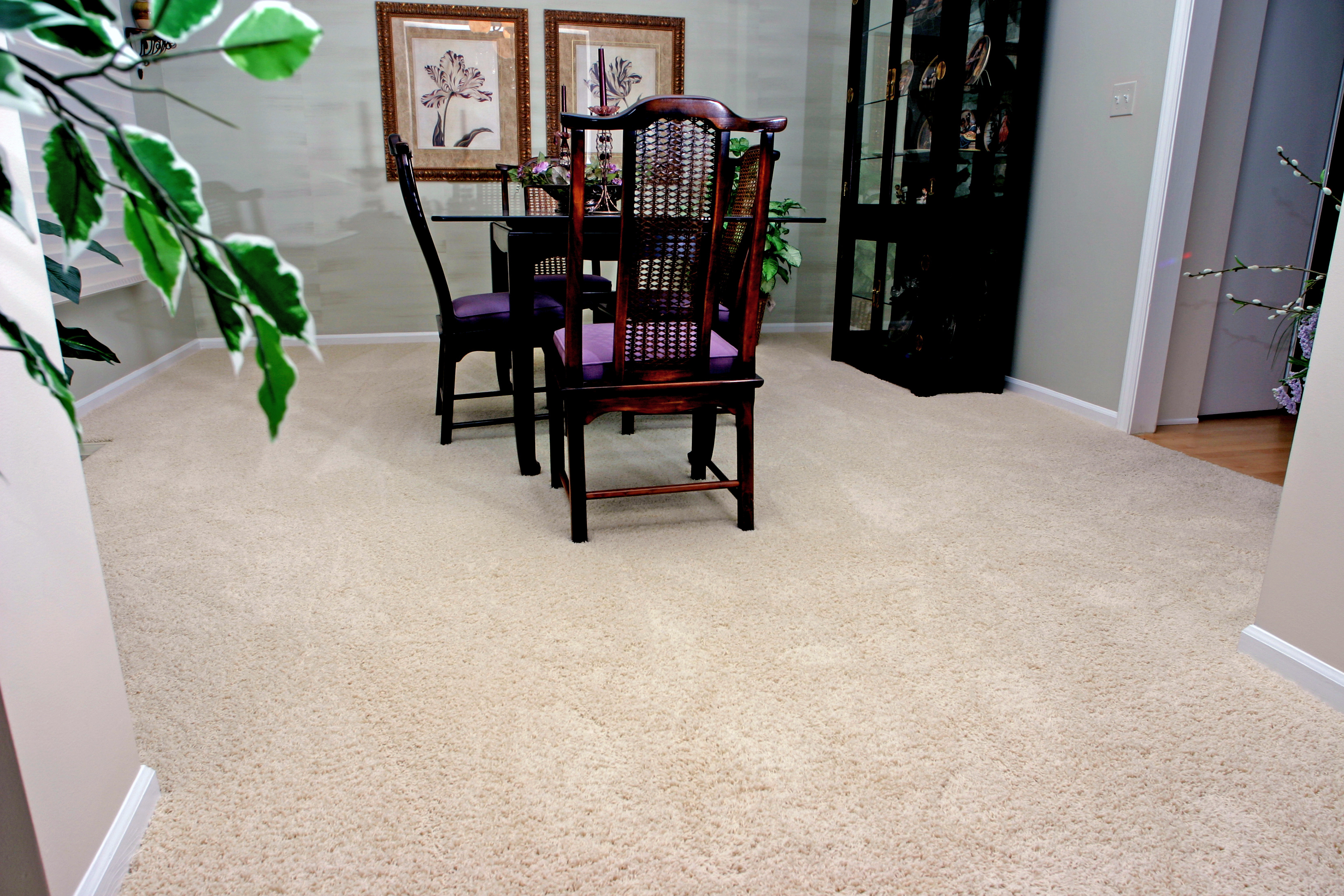 best carpet rugs elegant best carpets to hide footprints and stains in high traffic rugs for RMLZFJD