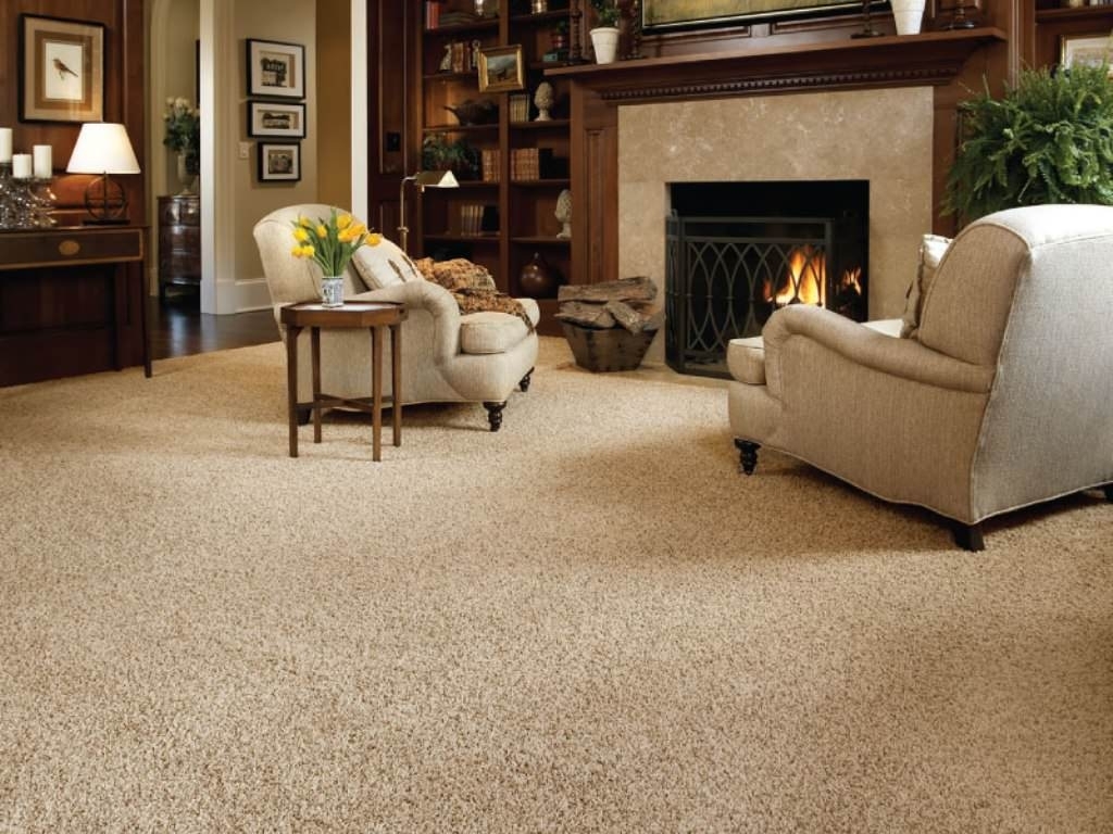 best living room carpet HQEEXPT