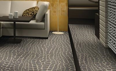 Carpet commercial ... shaw commercial carpet river croc in lounge around 401x246 ZKIEFCM