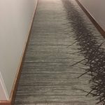 commercial carpet cleaning orange county LIWDZND