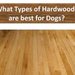 hardwood flooring types decor of best wood flooring for dogs best hardwood floor for dogs types FPWEBJJ