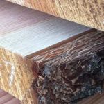 hardwood lumber hardwood slabs AHKMYVL
