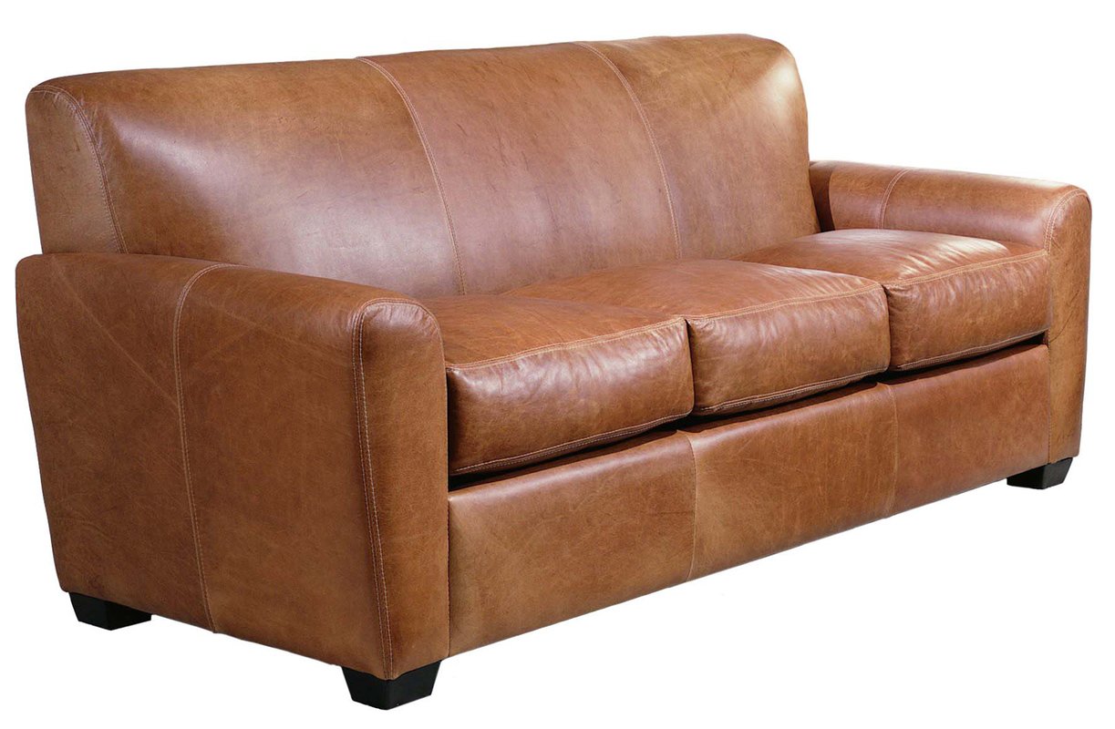 jackson leather sleeper sofa FESINVW