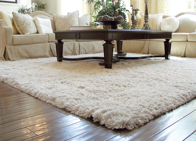 living room carpet auroroa borealis shag rug traditional-living-room VPTLRMV