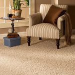 quality carpets carpet LJPFYYC